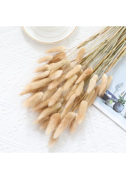 Gökyüzü Mavi 30 Adet Kurutulmuş Tavşan Kuyruğu Çim Lagurus Ovatus Ev Dekor Için Küçük Pampas Çim Boho Dekor Için Düğün Buketleri ve Çiçek Aranjmanı (Yurt Dışından)