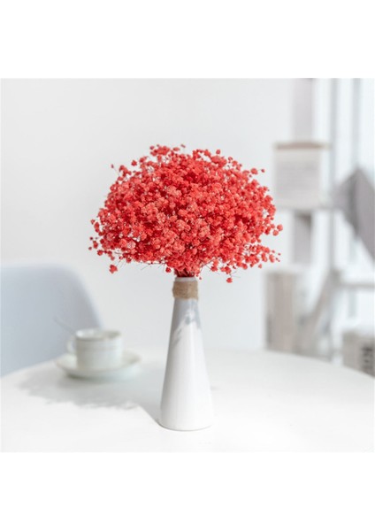 Yeşil 150G Hiçbir Vazo Kurutulmuş Bebek Nefes Çiçek Buketleri Renkli Beyaz Gypsophile Doğal Kuru Çiçek Gypsophila Düğün Dekorasyon Iskandinav Ev Dekor (Yurt Dışından) modelleri