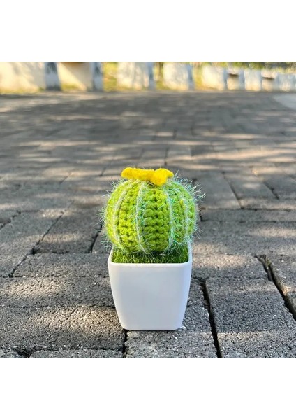 Kaktüs-Bir El-Örme Kaktüs Bitkileri Bonsai Yapay Çiçek Saksıları El Yapımı Tığ Işi Orijinal Hediye Sevimli Oda Ev Masası Fikirleri Dekorasyon (Yurt Dışından)