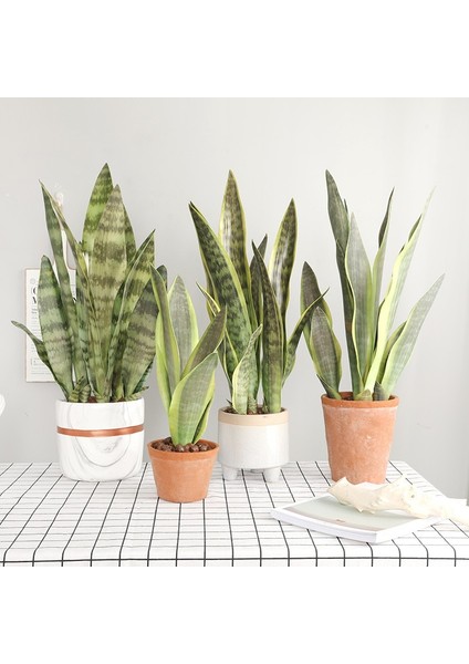 6 LEAF-369A Yapay Bitkiler Ev Bahçe Dekorasyonu Için Plastik Sansevieria Şubesi Dıy Bonsai Açık Sahte Bitkiler (Yurt Dışından)