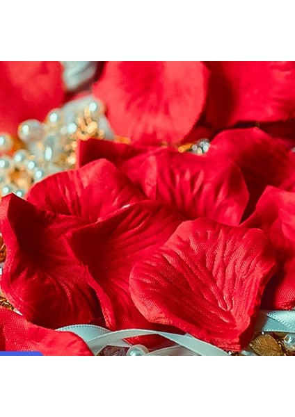 Şarap Kırmızısı 1000 Adet 1000/3000 Ps 5*5 cm Gül Yaprağı Düğün Parti Dekorasyonu Için Romantik Yapay Gül Çiçek Düğün Geçit Halı Dekorasyonu Için (Yurt Dışından) fırsatları