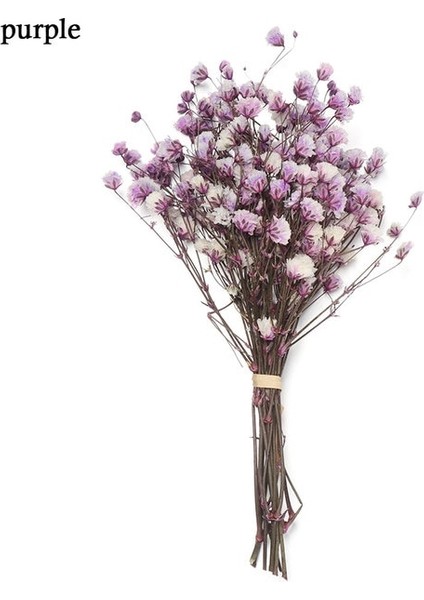 Purple1 Mini Dekoratif Kurutulmuş Çiçekler Babysbreath Çiçek Buketi Doğal Bitkiler Düğün Ev Dekorasyonu Için Çiçek Koruyun (Yurt Dışından)