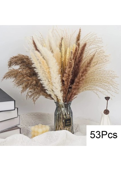 53 Kaynaklanıyor Yaklaşık 55 cm (Vazo Yok) 100 Adet/grup Pampas Seti Dekorasyon Kabarık Doğal Oturma Odası Dekorasyon Uzun Pampas Çim Kurutulmuş Çiçekler Buket Boho Ev Dekor (Yurt Dışından)