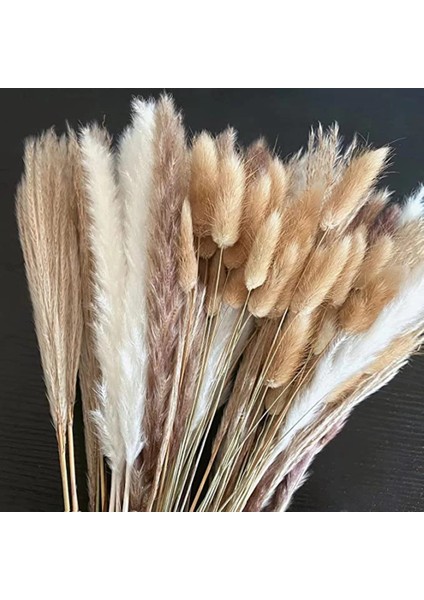 53 Kaynaklanıyor Yaklaşık 55 cm (Vazo Yok) 100 Adet/grup Pampas Seti Dekorasyon Kabarık Doğal Oturma Odası Dekorasyon Uzun Pampas Çim Kurutulmuş Çiçekler Buket Boho Ev Dekor (Yurt Dışından)