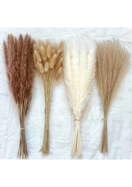 53 Kaynaklanıyor Yaklaşık 55 cm (Vazo Yok) 100 Adet/grup Pampas Seti Dekorasyon Kabarık Doğal Oturma Odası Dekorasyon Uzun Pampas Çim Kurutulmuş Çiçekler Buket Boho Ev Dekor (Yurt Dışından)