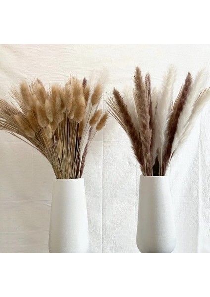 53 Kaynaklanıyor Yaklaşık 55 cm (Vazo Yok) 100 Adet/grup Pampas Seti Dekorasyon Kabarık Doğal Oturma Odası Dekorasyon Uzun Pampas Çim Kurutulmuş Çiçekler Buket Boho Ev Dekor (Yurt Dışından)