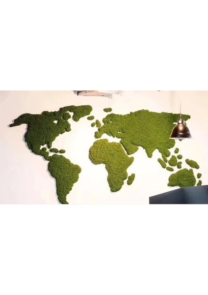 Göl Mavisi 40G 20G Yapay Bitki Sonsuz Yaşam Yosun/bahçe Ev Dekorasyon Duvar Dıy Çiçek Malzemesi Mini Bahçe Mikro Peyzaj Aksesuarları (Yurt Dışından) fırsatları