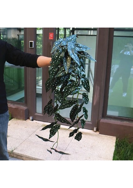 G 90 cm Yapay Asılı Sarmaşıklar Bitkiler Sahte Duvar Sarmaşıklar Kapalı Uzun Monstera Yapraklar Asılı Rattan Yeşil Sarmaşık Odası Bahçe Dekor Için (Yurt Dışından) fırsatları