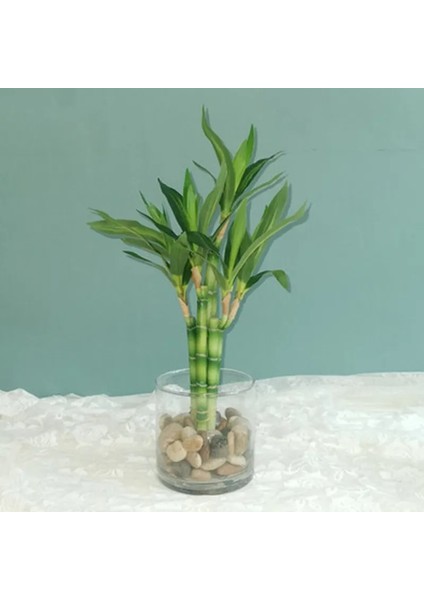 Orta 4 Parça Yeni 40 cm Rftificial Şanslı Bambu Etli Sahte Bitki Çiçek Yeşil Saksı Bahçe Açık Yemek Masası Balık Tankı Ev Dekorasyon (Yurt Dışından) fiyatları