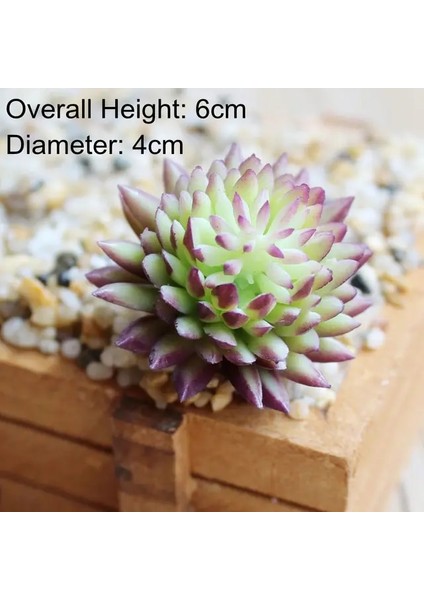 Lu Xin Ji Wa Lian Yapay Yeşil Mor Kırmızı Mavi Etli Bitkiler Ev Bahçe Düğün Dekorasyon Mini Masaüstü Bonsai Dıy Plante Artificielle (Yurt Dışından) fiyatları
