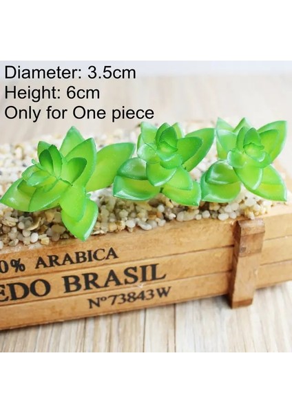 Yeşil San Xin Lian Çeşitli Yapay Etli Bitkiler Lotus Manzara Dekoratif Çiçek Mini Yeşil Sahte Succulents Bitki Bahçe Düzenleme Dekor (Yurt Dışından)