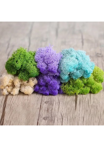 I 20G 20/40G Doğal Norveç Ren Geyiği Yosun Korunmuş Kurutulmuş Zanaat Çiçek Ercik Dekorasyon Düğün Süsleme Peri Bahçe Dekor Erişim (Yurt Dışından) fiyatları