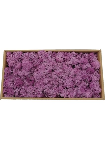 12 Taro Mor 40G 20/40G Yapay Yeşil Bitkiler Ebedi Yaşam Yosun Çim Ev Oturma Odası Bahçe Dekorasyon Mini Peyzaj Sahte Çiçek Dıy El Sanatları (Yurt Dışından)