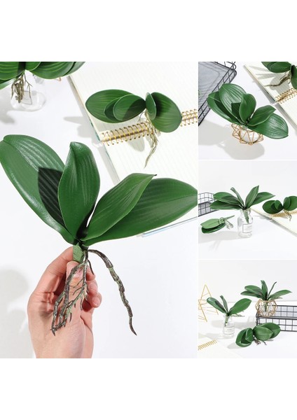 32 Cm-4 Yapraklar Phalaenopsis Yaprağı Yapay Bitki Yaprağı Dekoratif Çiçekler Ev Dekor Orkide Yaprakları (Yurt Dışından)