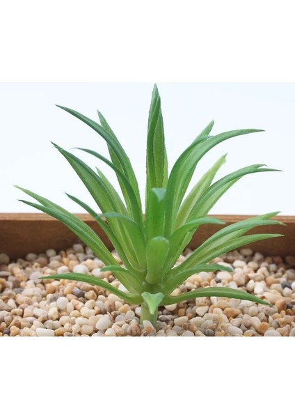 Xiao Jian Cao 2021 Yapay Succulents Bitkiler Ev Dekor Mini Bonsai Bahçe Yatak Odası Düğün Dekorasyon Plantas Artificiales Para Decoracion (Yurt Dışından)