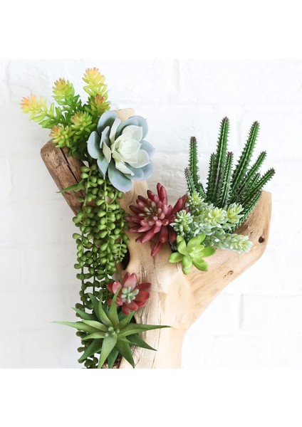 Xiaojianlian Çeşitli Yapay Etli Bitkiler Lotus Manzara Dekoratif Çiçek Mini Yeşil Sahte Succulents Bitki Bahçe Düzenleme Dekor (Yurt Dışından)