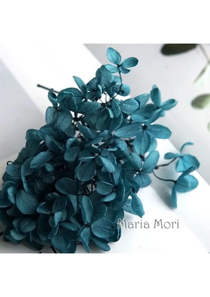 Renk H.P043 20G Korunmuş Ortanca Paniculata Çiçekler Elips Yapraklar Ofis Dekor Kristal Tutkal Dıy Çiçekler Kokulu Mumlar Malzeme (Yurt Dışından)