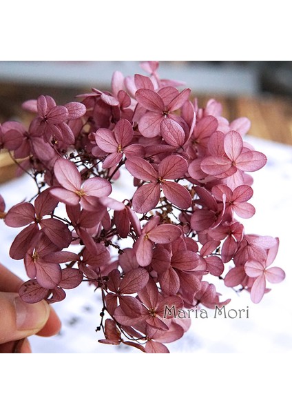 Renk H.P043 20G Korunmuş Ortanca Paniculata Çiçekler Elips Yapraklar Ofis Dekor Kristal Tutkal Dıy Çiçekler Kokulu Mumlar Malzeme (Yurt Dışından)