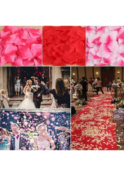 Şampanya 500 Adet 500/1000/3000 Adet Yapay Ipek Gül Yaprakları Romantik Gül Çiçek Yaprakları Sevgililer Günü Düğün Çiçek Dekorasyon Malzemeleri 70% (Yurt Dışından) fırsatları