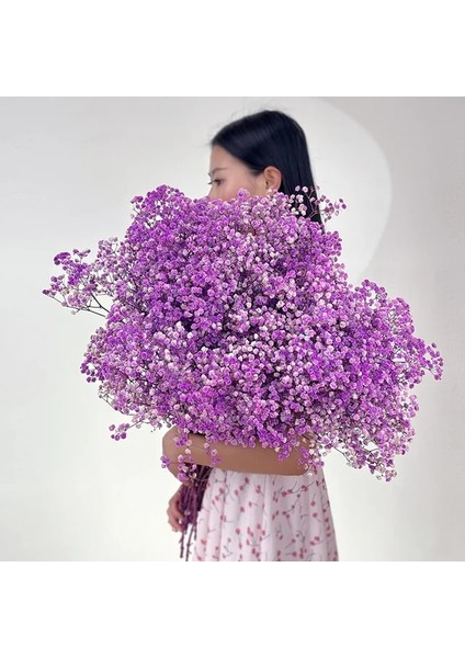Mor 60G Doğal Taze Kurutulmuş Korunmuş Çiçekler Gypsophila Ebedi Nefes Buketleri Sevgililer Günü Hediyesi Düğün Boho Ev Dekor Paniculata (Yurt Dışından)