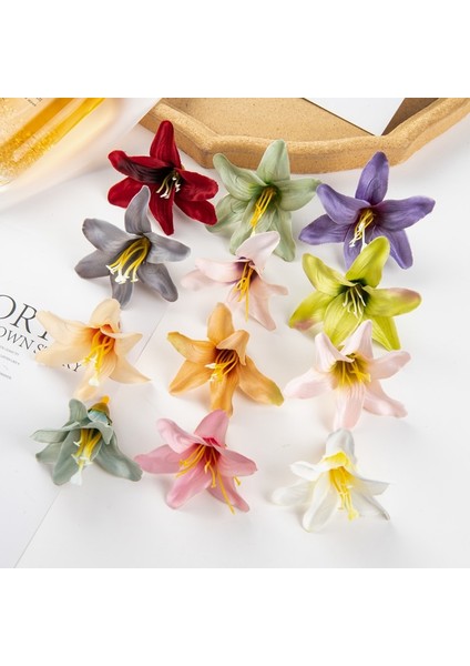 Açık Yeşil 10 Parça 50PC 8cm Scrapbooking Için Yapay Çiçekler Ipek Zambak Dıy Hediyeler Şeker Kutusu Düğün Bahçe Gül Kemer Ev Dekor Noel Çelenk (Yurt Dışından) fiyatları