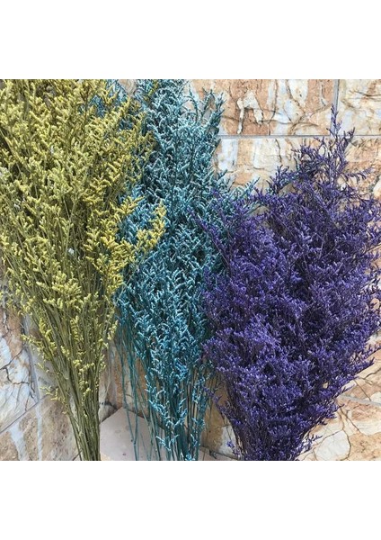 01 35G/30 ~ 35 cm Dekoratif Kuru Doğal Sevgilisi Çim Kurutulmuş Korunmuş Dans Eden Çiçekler, Gerçek Sonsuza Kadar Çiçek Çim Şube, Ev Dekor (Yurt Dışından) fiyatları