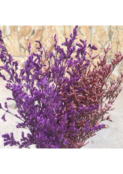 01 35G/30 ~ 35 cm Dekoratif Kuru Doğal Sevgilisi Çim Kurutulmuş Korunmuş Dans Eden Çiçekler, Gerçek Sonsuza Kadar Çiçek Çim Şube, Ev Dekor (Yurt Dışından) modelleri