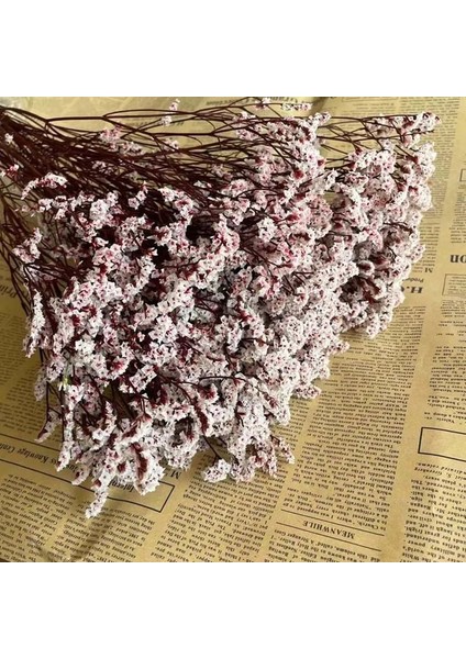 02 35 ~ 42 Cm/yaklaşık 35G Gerçek Doğal Kurutulmuş Korunmuş Kristal Çim Çiçek Buketi, Sonsuza Kadar Beni Unutma Çiçekler, Sevgilisi Çim Ev Dekor Için (Yurt Dışından)