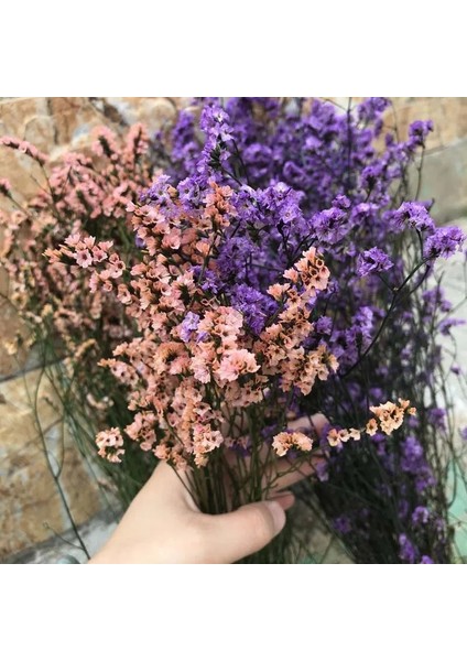 02 35 ~ 42 Cm/yaklaşık 35G Gerçek Doğal Kurutulmuş Korunmuş Kristal Çim Çiçek Buketi, Sonsuza Kadar Beni Unutma Çiçekler, Sevgilisi Çim Ev Dekor Için (Yurt Dışından) modelleri