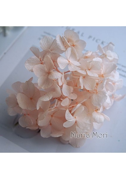 Renk M003 5g Büyük Yaprakları Macrophylla Korunmuş Ortanca Ofis Dekor Korunmuş Çiçekler Ev Dekorasyon Anna Ortanca Düğün Dekorasyon (Yurt Dışından)