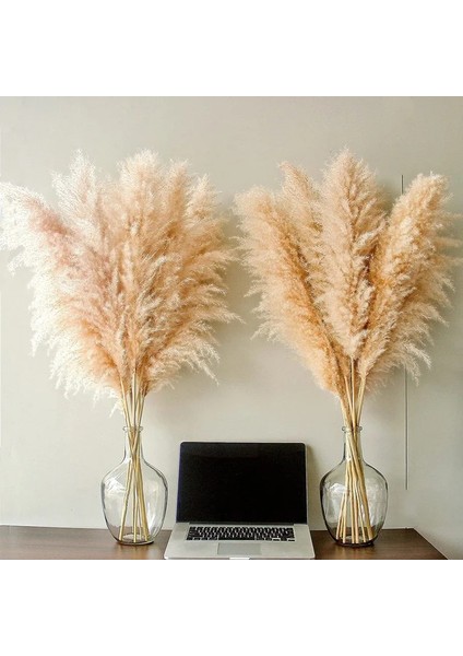 Beyaz 2 3 Adet 80-120 cm Pampas Çim Büyük Uzun Boylu Kabarık Pampas Kurutulmuş Çiçekler Boho Dekor Bitki Vazo Için Ev Düğün Dekor Çiçek Aranjmanı (Yurt Dışından) fiyatları