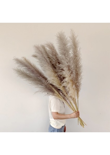 Beyaz 2 3 Adet 80-120 cm Pampas Çim Büyük Uzun Boylu Kabarık Pampas Kurutulmuş Çiçekler Boho Dekor Bitki Vazo Için Ev Düğün Dekor Çiçek Aranjmanı (Yurt Dışından) fırsatları