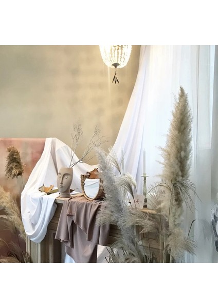 Beyaz 2 3 Adet 80-120 cm Pampas Çim Büyük Uzun Boylu Kabarık Pampas Kurutulmuş Çiçekler Boho Dekor Bitki Vazo Için Ev Düğün Dekor Çiçek Aranjmanı (Yurt Dışından) indirimleri