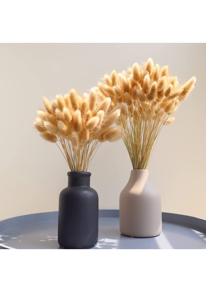 Koyu Turuncu 30 Adet 30 Adet 100 Adet Kabarık Tavşan Kuyrukları Kurutulmuş Çiçekler Aranjmanı Doğal Tavşan Kuyruğu Çim Vazo Için Boho Çiçek Düğün Ev Dekor Için (Yurt Dışından)
