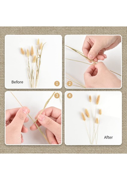 Koyu Turuncu 30 Adet 30 Adet 100 Adet Kabarık Tavşan Kuyrukları Kurutulmuş Çiçekler Aranjmanı Doğal Tavşan Kuyruğu Çim Vazo Için Boho Çiçek Düğün Ev Dekor Için (Yurt Dışından)
