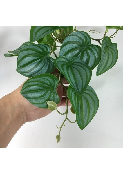 02 1 Adet Yapay Bitki Yeşil Dereotu Çiçek Rattan Yapraklar Parti Ev Dekor Kaplumbağa Yaprağı Düğün Festivali Dekorasyon Sahte Çiçekler (Yurt Dışından) fırsatları