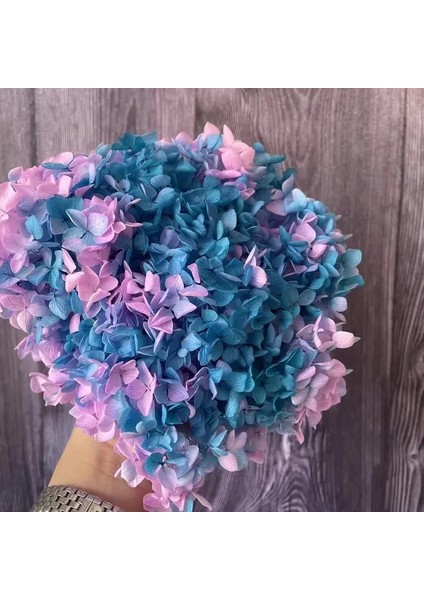 23 5g Gerçek Doğal Taze Korunmuş Ortanca Kafaları, Sonsuza Kadar Kurutulmuş Gül Ebedi Ortancalar, Güzellik Nail Art Çıkartmaları Takı, Ev Dekor (Yurt Dışından)