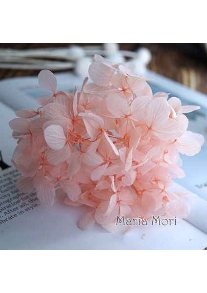 Renk H.P006B 20G Korunmuş Ortanca Paniculata Çiçekler Elips Yapraklar Ofis Dekor Kristal Tutkal Dıy Çiçekler Kokulu Mumlar Malzeme (Yurt Dışından)