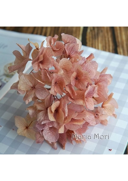Renk M046 10G Büyük Yapraklı Macrophylla Korunmuş Ortanca Ofis Dekor Korunmuş Çiçekler Ev Dekorasyon Anna Ortanca Düğün Dekorasyon (Yurt Dışından)
