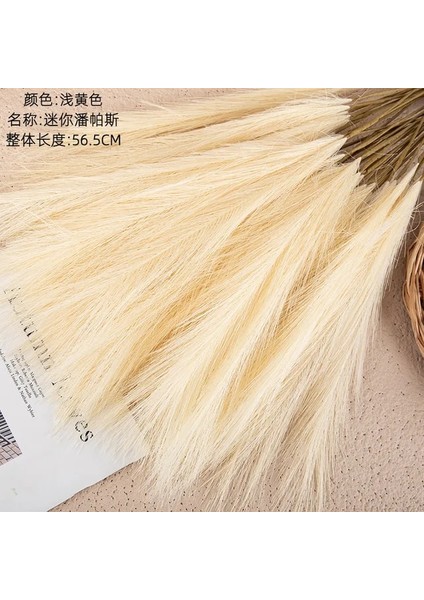 Açık Sarı 5pcs 1/5/10/20PCS 55CM Mini Sahte Pampas Çim Yapay Görkemli Çim Vazo Dolgu Çiçek Ev Oturma Odası Mutfak Düğün Boho Dekor (Yurt Dışından)