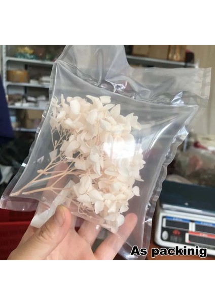 45 5 ~ 5.5 G/grup Doğal Taze Korunmuş Çiçekler Kurutulmuş Küçük Yapraklar Ortanca Çiçek Başları Dıy Gerçek Ebedi Yaşam Çiçekler Malzeme (Yurt Dışından)