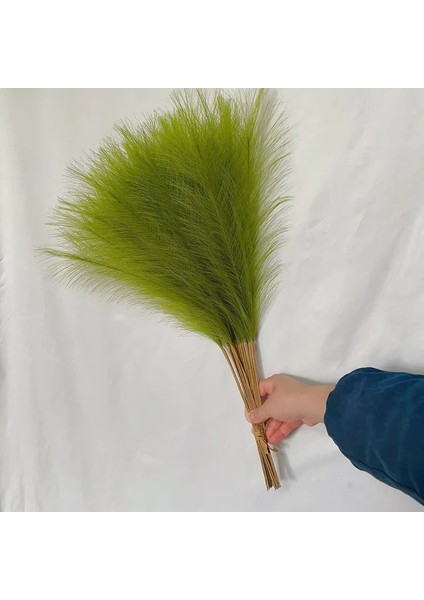 Çim Yeşili 10PCS 55CM 5/10/20PCS Kabarık Pampas Çim Boho Dekor Çiçek Sahte Bitki Kamış Simüle Düğün Parti Ev Dekorasyon Yapay Çiçekler (Yurt Dışından)