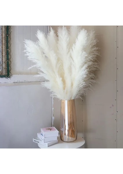 Beyaz 10 Adet Doğal Pampas Çim Büyük Boy Kurutulmuş Çiçek Buketi Ev Dekor Uzun Kabarık Kaynaklanıyor Oturma Odası Dekor Düğün Zemin (Yurt Dışından)