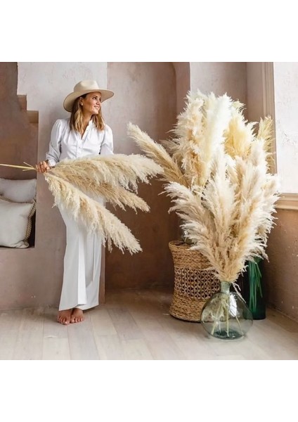Beyaz 10 Adet Doğal Pampas Çim Büyük Boy Kurutulmuş Çiçek Buketi Ev Dekor Uzun Kabarık Kaynaklanıyor Oturma Odası Dekor Düğün Zemin (Yurt Dışından) fiyatları