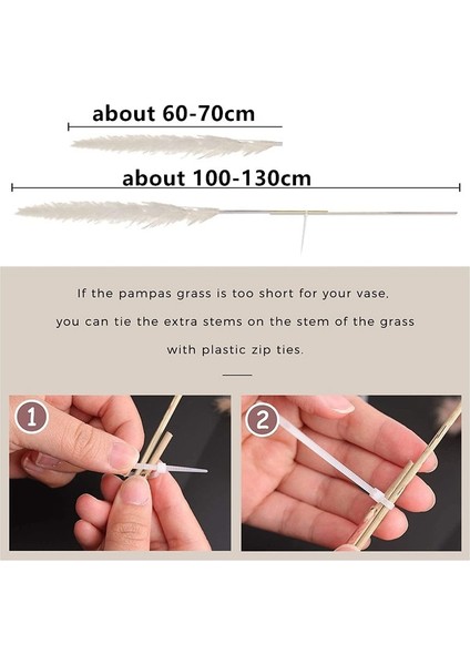 Beyaz 10 Adet Doğal Pampas Çim Büyük Boy Kurutulmuş Çiçek Buketi Ev Dekor Uzun Kabarık Kaynaklanıyor Oturma Odası Dekor Düğün Zemin (Yurt Dışından) modelleri