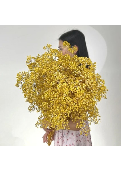 Sarı 60G Doğal Taze Kurutulmuş Korunmuş Çiçekler Gypsophila Ebedi Nefes Buketleri Sevgililer Günü Hediyesi Düğün Boho Ev Dekor Paniculata (Yurt Dışından)