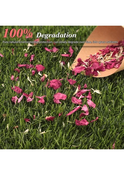 30 Adet Kağıt Kutusu 10-50 Adet Düğün Konfeti Kurutulmuş Çiçek Doğal Petal Pop Gelin Duş Doğum Günü Partisi Dıy Dekor Biyobozunur Gül Kağıt Koni (Yurt Dışından) modelleri