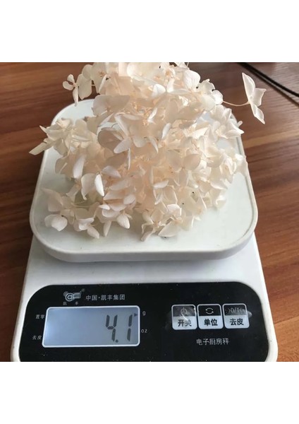 45 5 ~ 5.5 G/grup Doğal Taze Korunmuş Çiçekler Kurutulmuş Küçük Yapraklar Ortanca Çiçek Başları Dıy Gerçek Ebedi Yaşam Çiçekler Malzeme (Yurt Dışından)