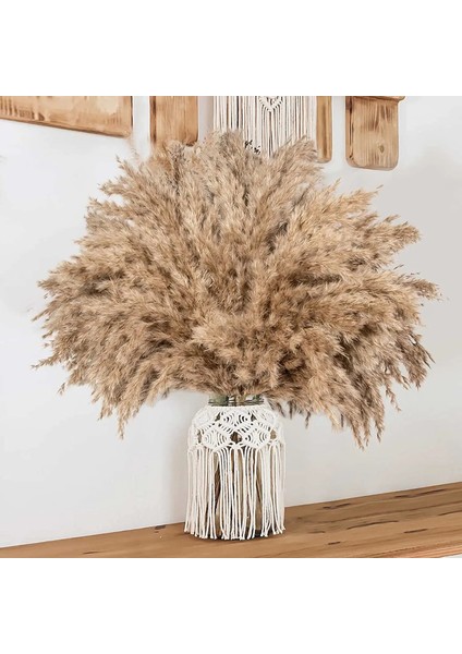 Ab Beyaz C Birincil 30 Adet 30 Adet Doğal Pampas Çim Buketi Kurutulmuş Çiçekler Gerçek Kamış Düğün Dekorasyon Noel Flores Yapay Çiçekler Ev Dekor (Yurt Dışından) fiyatları