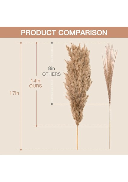 Ab Beyaz C Birincil 30 Adet 30 Adet Doğal Pampas Çim Buketi Kurutulmuş Çiçekler Gerçek Kamış Düğün Dekorasyon Noel Flores Yapay Çiçekler Ev Dekor (Yurt Dışından) modelleri
